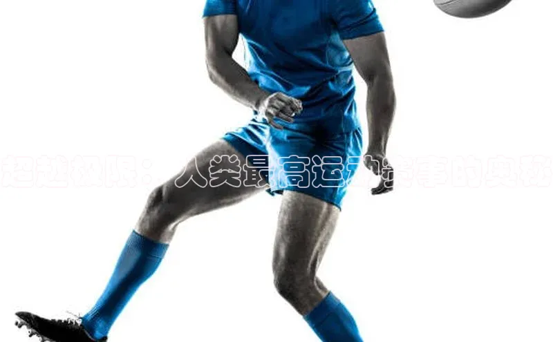 沐鸣2娱乐平台官方网站