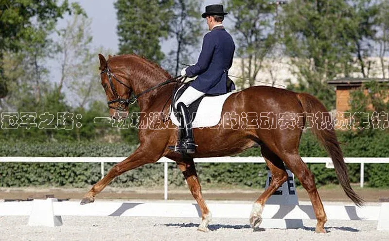 沐鸣2平台官方网站