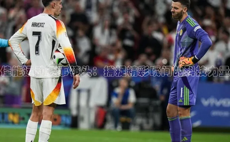沐鸣娱乐2手机版